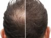Poudre pour Cheveux Homme : Astuces et Conseils pour une Coiffure Impressionnante Poudre pour Cheveux Homme