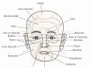 Face map acné : analysez vos boutons pour mieux comprendre leur origine Face map acné