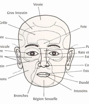 Face map acné : analysez vos boutons pour mieux comprendre leur origine Face map acné