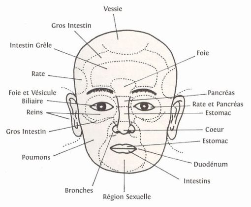 Face map acné : guide pour interpréter les zones à problèmes