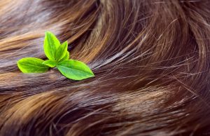 Plante miracle pour lisser les cheveux : tout savoir sur ses bienfaits Plante miracle pour lisser les cheveux