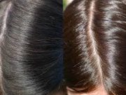 Poudre de Bhringaraj avant après : efficacité sur la pousse des cheveux Poudre de bhringaraj avant:après