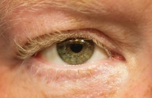 Est-ce que les cils repoussent ? Tout ce qu’il faut savoir Est-ce que les cils repoussent