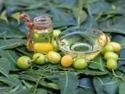 Huile de neem : bienfaits et utilisations pour la peau et les cheveux huile de neem