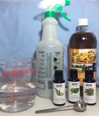 Produit anti moucheron maison : comment les éliminer sans produits chimiques produit-anti-moucheron-maison