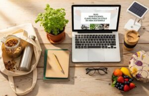 Blog vivir eficiente : conseils pratiques pour consommer autrement blog-vivir-eficiente