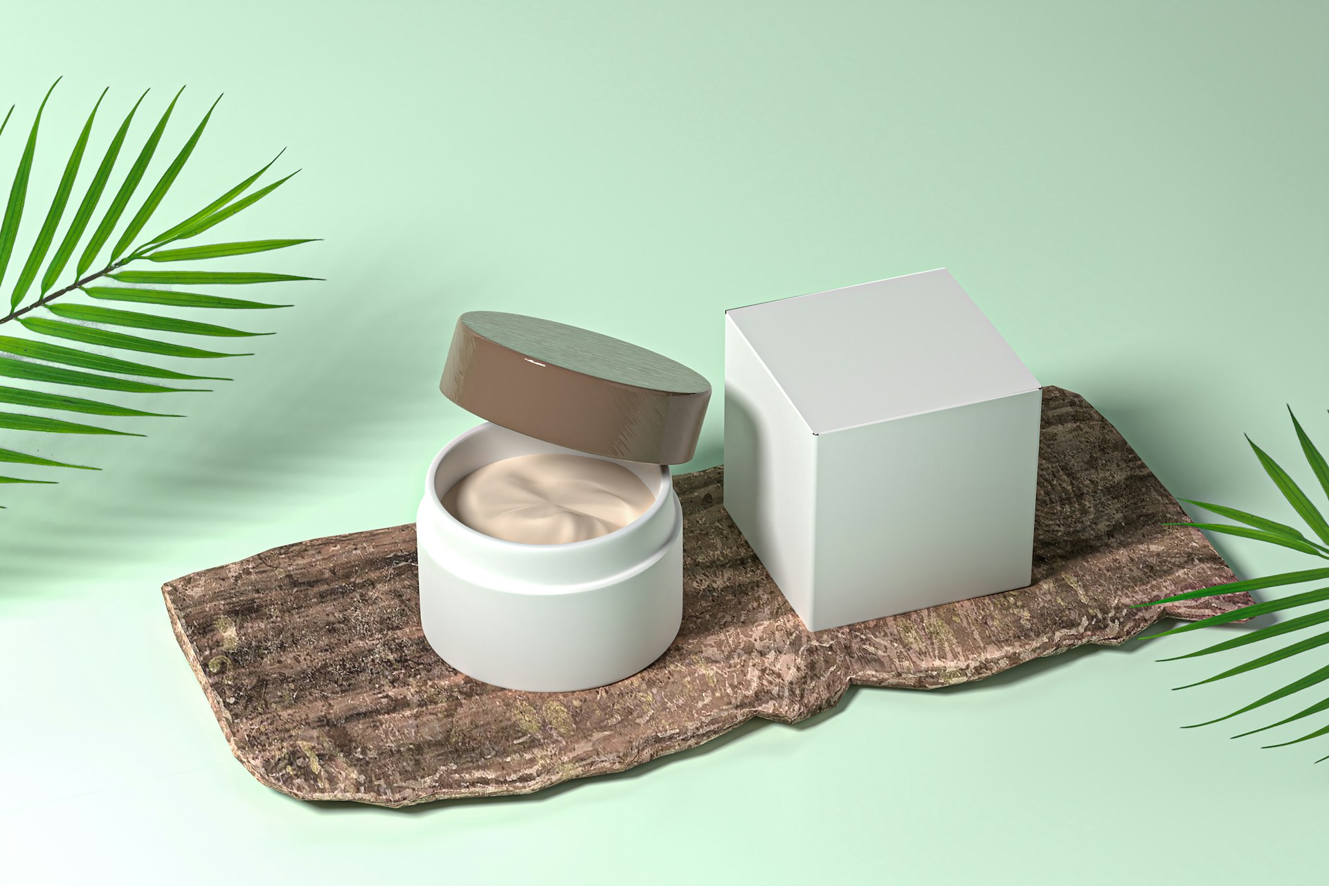 algue pelvetia crème