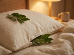 Feuille de laurier sous l’oreiller : signification et croyances feuille-de-laurier-sous-l-oreiller