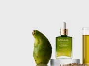 Soraali huile : bienfaits réels pour peau et cheveux soraali-huile