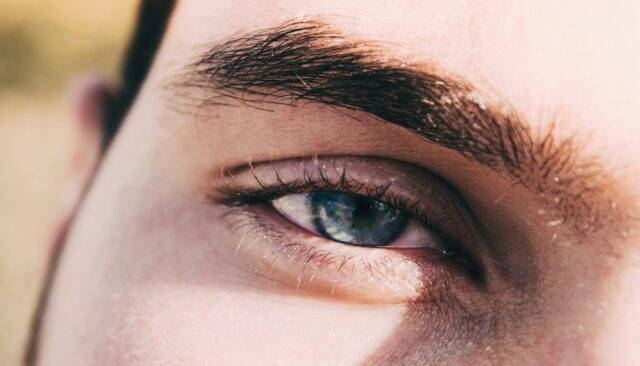 trait-sourcils-homme