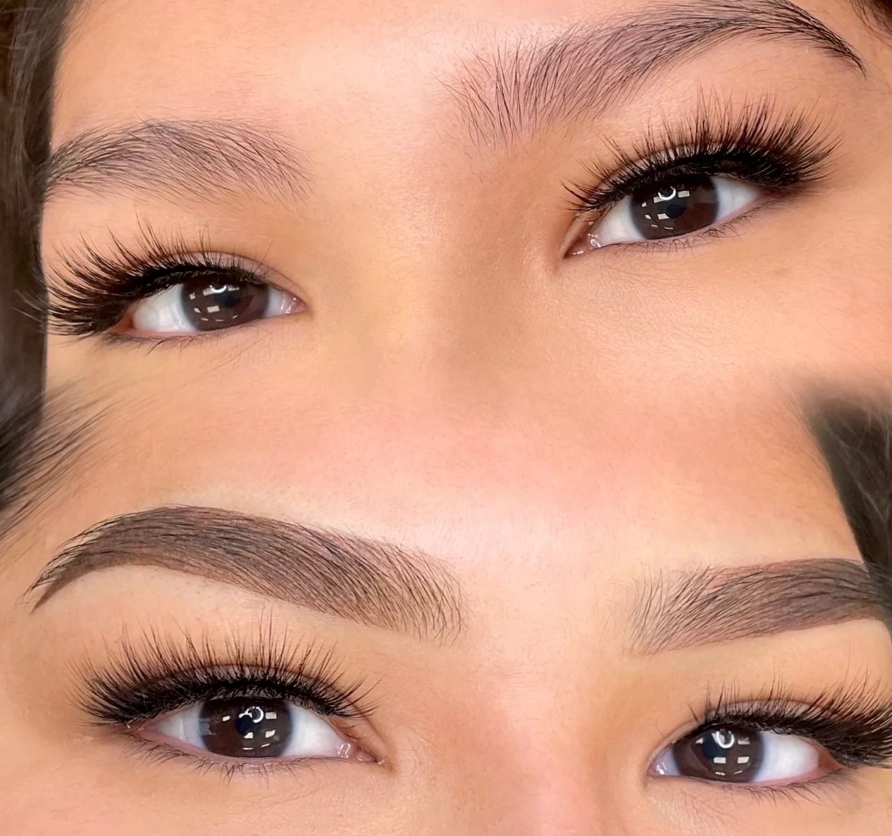 powder eyebrows