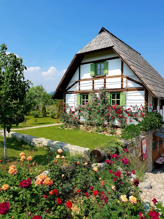 allée de jardin devant maison pratique