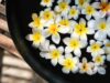 Eau florale : quels bienfaits pour hydrater et apaiser la peau ? eau-florale