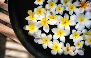 Eau florale : quels bienfaits pour hydrater et apaiser la peau ? eau-florale